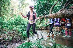 BIB: 
                            <button type="button" onclick="openModal(25478613)" class="btn btn-primary btn-sm float-right btn-popup" data-toggle="modal" data-target=".modal-high-quality">
                        <i class="fas fa-shopping-cart"></i> Add to Cart
                    </button>
                                            <button type="button" onclick="isThisMe(25478613, true)" class="btn btn-success btn-sm float-right btn-popup btn-isme hidden" data-toggle="tooltip" data-placement="bottom" title="นี่คือรูปของคุณใช่ไหม คลิกที่นี่เพื่อเอาเข้าอัลบั้ม">
                        <i class="fas fa-plus"></i> Add to album
                    </button>
                    <button type="button" onclick="isThisMe(25478613, false)" class="btn btn-warning btn-sm float-right btn-popup btn-isnotme hidden">
                        <i class="fas fa-ban"></i> Remove from album
                    </button>